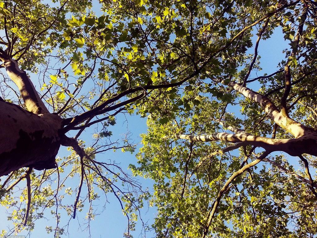 វិធីសាស្ត្រនិងយុទ្ធសាស្ត្របង្កើតមាតិកាដែលមានប្រសិទ្ធភាព